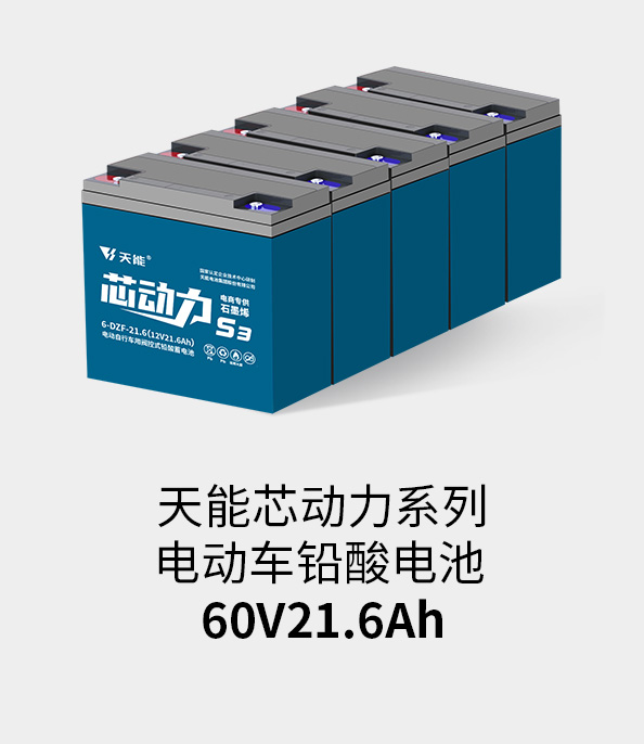 蓝狮注册_蓝狮平台-欧亿集团电池60v20ah